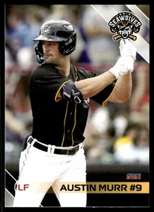 2024 Austin Murr MiLB Minor League Rookie Card Erie Seawolves - Picture 1 of 2