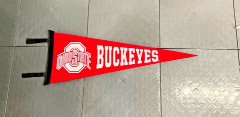 Ohio State Buckeyes Vintage Wool Felt  Pennant Cover