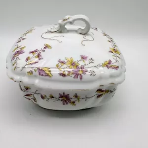 Jabonera/Colador Antiguo Mark & Gutherz Carlsbad Porcelana Hecho en Austria - Imagen 1 de 8