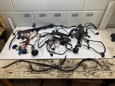 BMW M54 Engine Wiring Loom with Conversion Loom for E36 - Image 1 of 4