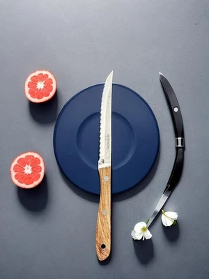 12er EPINOX Steakmesser 18/10 Edelstahl–scharf & gezahnt–Holzgriff - Bild 1 von 4