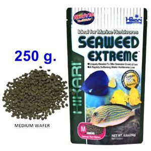 Fish Food Hikari Seaweed Extreme Algae Marine Herbivore Medium Pellet Wafer 250g
