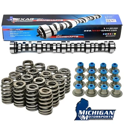 Kit de árbol de levas Texas Speed TSP Chopacabra 4,8 L 5,3 L 6,0 L 6,2 L 1999-2013 LS Cam Foto 1 de 4