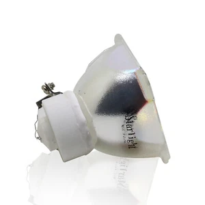 Bombilla Proyector NP16LP para NEC M300XSG M350X M350XG - Imagen 1 de 5