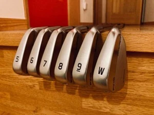 Golf Iron Set PING BLUEPRINT Dot Color Black N.S.PRO MODUS3 TOUR105 6pcs 5-P - Picture 1 of 6
