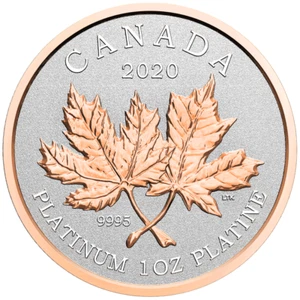 1 oz 300$ Kanada Platinmünze Maple Leaf - Forever 2020 Roségold RP mit Box - Picture 1 of 3