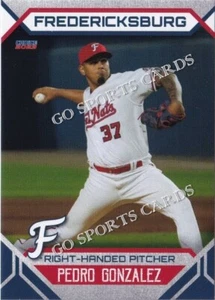 2023 Fredericksburg Nationals Pedro González RC Rookie Nationals PAN menor - Imagen 1 de 1