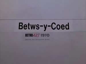 British Rail Train Blind 3/225 20"" - Estación - Betws-Y-Coed - Imagen 1 de 12