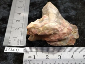 BOIS FOSSILE pierre brute mineraux collection pétrifié reiki esoterisme brut - Imagen 1 de 3