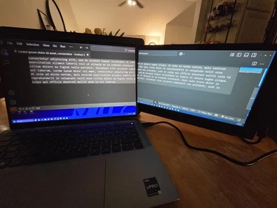 Mobile Pixels DUEX PRO Portable Monitor for Laptops Work Home Office Travel  - Image 1 of 4