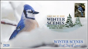 20-247, 2020, Winter Scenes, FDC, Digital Color Postmark, Blue Jay - Picture 1 of 1