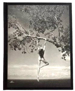 1995 1st ed PATRICK DEMARCHALIER Photographs Nudes,Celebrity Janet Jackson*MINT* - Imagen 1 de 4