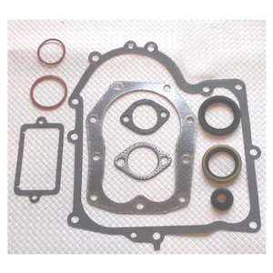 Juego de juntas de motor juego de juntas para motor Briggs & Stratton modelo 286707 286702  - Imagen 1 de 3