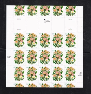 US Stamp Sc# 3837 Miscut Pane of 20 - EFO Error Freak Full Gutter - Picture 1 of 2