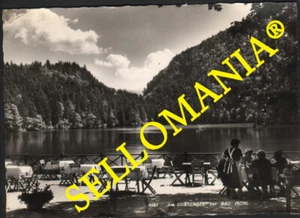 POSTKARTE ÖSTERREICH NUSSENSEE BEI BAD ISCHL SALZKAMMERGUT AUSTRIA CC05360 DE - Picture 1 of 1
