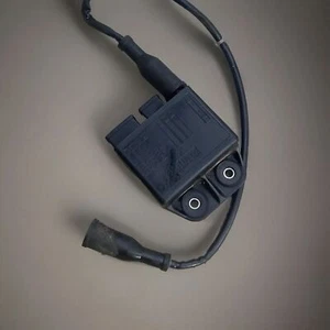 Bobina de encendido Facind CDI ORIGINAL PIAGGIO SKR 125 150 TPH 125 X Aprilia SR 50 125 - Imagen 1 de 5