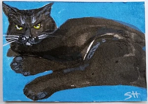 Original signed ACEO Collectors Art. Moody Cat Blue/Toe Beans - Picture 1 of 3