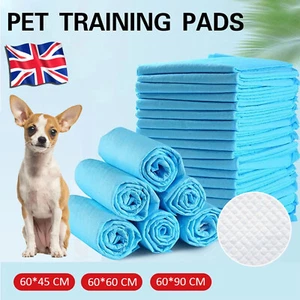 50-200X Large HeavyDuty Puppy Pet Training Wee Pee Toilet Pads Floor Mat Dog Cat - Picture 1 of 26