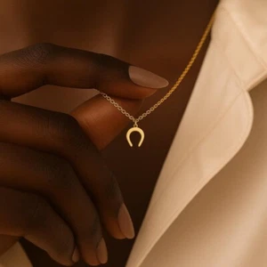 Pure Stainless Steel Horsehoe Pendant Chain Necklace 14K Gold / Silver Sterling - Picture 1 of 6