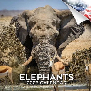 ELEFANTEN Wandkalender 2026 Tierliebhaber Geschenk Zoo Wildtiere Afrika Säugetiere - Bild 1 von 2
