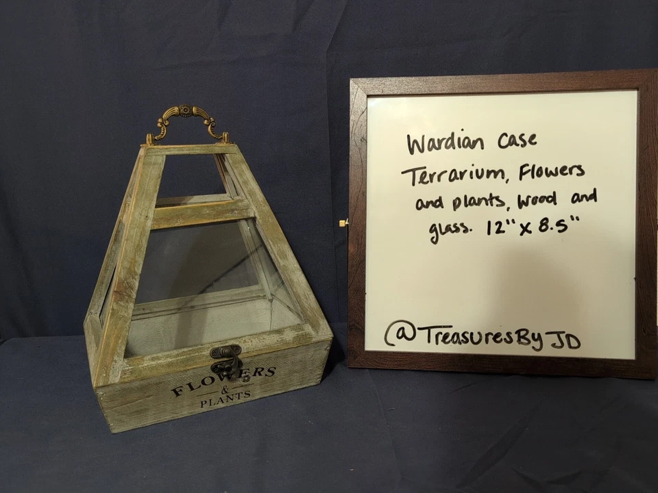 Terrario con bloqueo de guardián flores y plantas estuche de madera y vidrio, 12" x 8,5 Foto 1 de 4