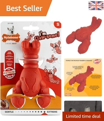 Tough Lobster Chew Toy for Small Dogs - Boredom Buster with Filet Mignon Scent - Image 1 of 4