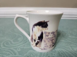 Tazza tazza Queen's Fine Bone China Frolicking Cats Gilbert in ottime condizioni - Foto 1 di 6