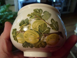 PORTMEIRION POMONA RARE SHEBA GOOSEBERRY ELDEST SUGAR POT W/BIGG CHERRY & I PLUM - Picture 1 of 8