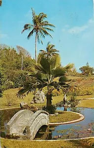 Postal de Palm Grove Gardens South Shire Bermuda pm 1965 - Imagen 1 de 2