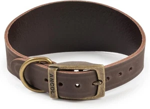 Ancol Timberwolf - Leather Headcollar - Brown - Size 2 (30-34cm) - Picture 1 of 5
