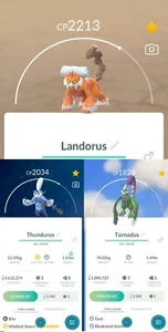 Tornadus,Thundurus,Landorus Legendary Unova | Pokemon Home ✨ - Picture 1 of 5