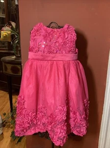 Rare Editions Girls 24 Months Hot Pink Special Occassion Dress Wedding Easter - Picture 1 of 7