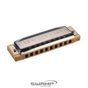 Hohner MS Series Blues Harp Harmonica - Key of C - Foto 1 di 2