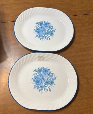Juego de 2 platos ovalados Corelle Blue Velvet Rose 12" x 10" Foto 1 de 3
