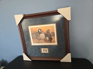 Estampilla de conservación de pato de aves acuáticas de Texas 1992 enmarcada nueva como nueva gansos de Canadá - Imagen 1 de 18