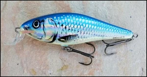 FISHING LURES SALMO EXECUTOR SHALLOW RUNNER SR 12 cm HSH (Holo Shiner) color - Picture 1 of 1