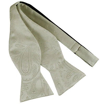 Nuevo Hombre Corbata Estilo Libre Pajarita Paisley Poliéster Formal Boda Marfil Baile de graduación Foto 1 de 2