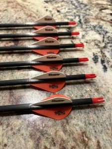 6pcs. Victory V3 400 Spine 26-1/2” OAL - Picture 1 of 9