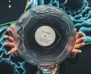 PHISH~Evolve Splash In Oil 2LP Mondegreen Vinyl Pressing LP /300 - Picture 1 of 6