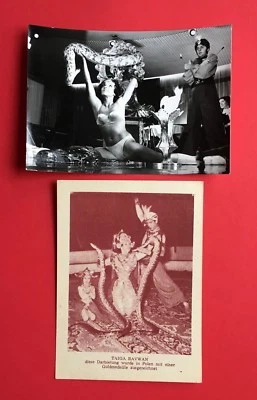 2 x AK Theater & Variete Schlangentänzerin Typen Taiga Ravwan ( 46122 - Bild 1 von 2