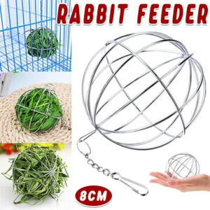 Rabbit Grass Balls Hangable Feeding Rack for Small Animals Chew Toys and Snacks - Picture 1 of 12