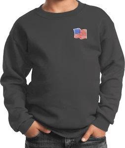 Buy Cool Shirts Kids Waving USA Flag Sweatshirt Patch Pocket Print - Picture 1 of 18