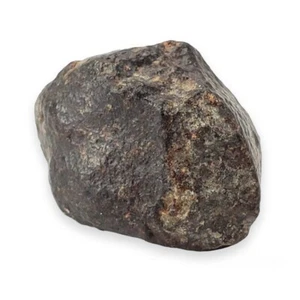 Meteorite Chondite NWA 869 Tindouf Algeria 2-3 cm - Foto 1 di 1