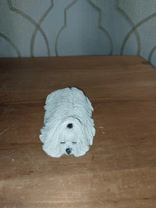 Sandicast schlafender Malteser Welpe Hund lebensecht Figur Skulptur Sandra Brue USA - Bild 1 von 6