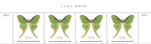 US 6031 Butterfly Luna Moth NMS header plate strip 4 MNH 2025 after 8/15 - Picture 1 of 1