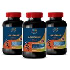 Glutamine Powder - L-GLUTAMINE - Immune Health - Protein - 3Bot 300Ct