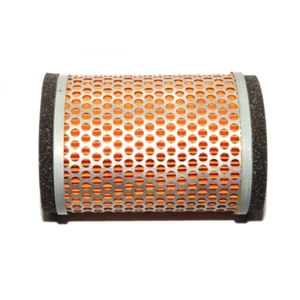 Filtro de aire Triumph America, Speedmaster y Thunderbird fabricante de equipos originales - T2202450 - Imagen 1 de 1