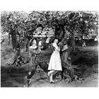 The Wizard Of Oz Judy Garland As Dorothy Held By Tree 8 X 10 Inch Photo