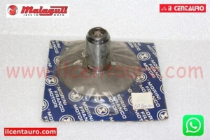 61720000 SEMIPULEGGIA POSTERIORE FISSA MALAGUTI CROSSER CR1 - FRANCO MORINI AH50 - Foto 1 di 2
