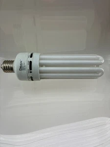 MAXLITE SKQ100EAWW LIGHT BULB - Picture 1 of 1